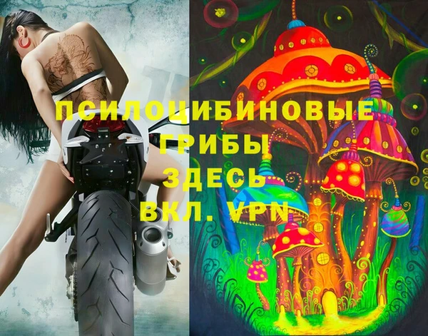 сатива Бугульма