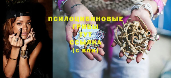 сатива Бугульма