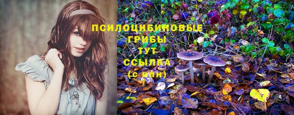 сатива Бугульма